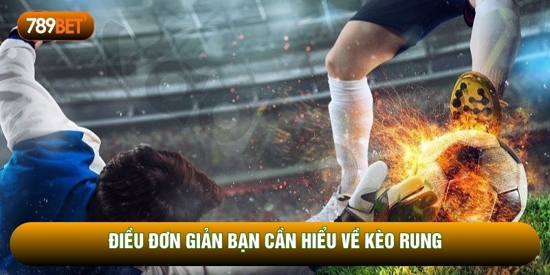 Điều đơn giản bạn cần hiểu về kèo rung